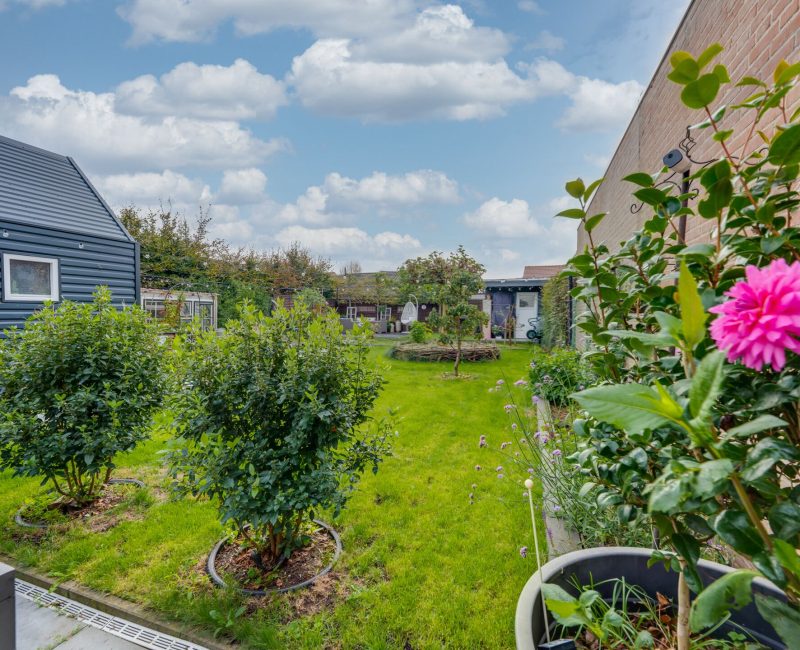 295020861